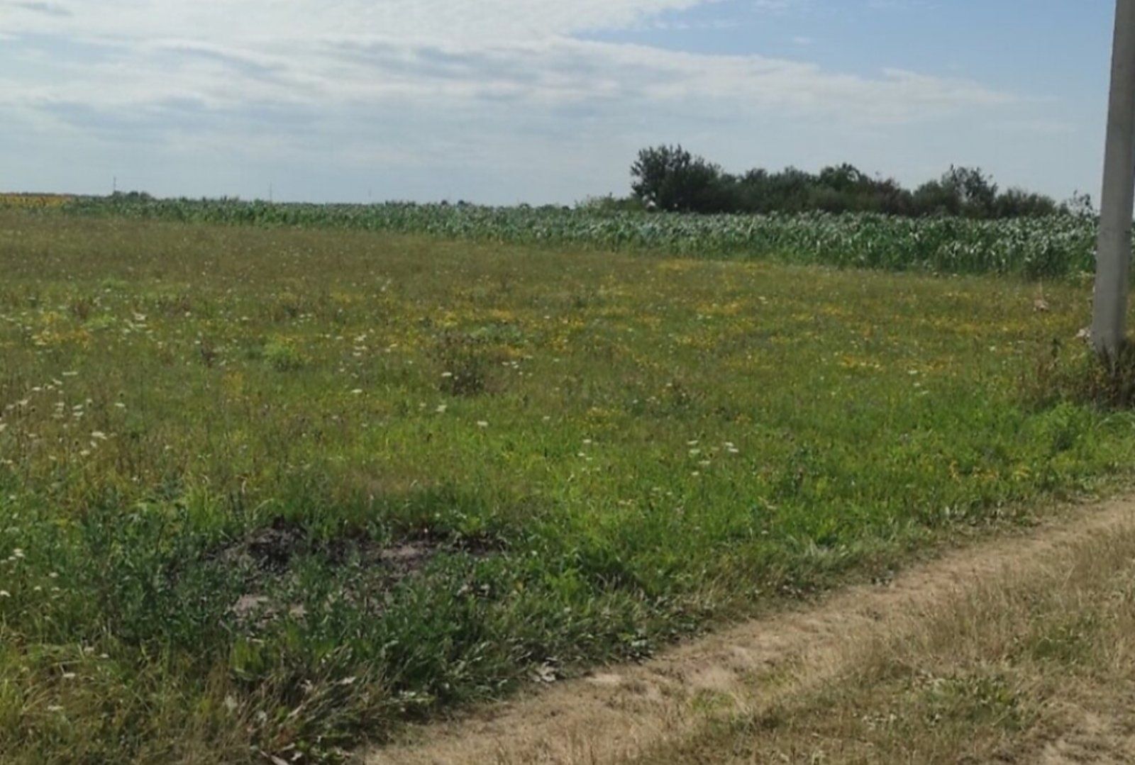 Продаж земельної ділянки під ОСГ