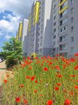 ‼️Продаж 2️⃣ -кім. квартири бл.Замостя по СУПЕЦІНІℹ️