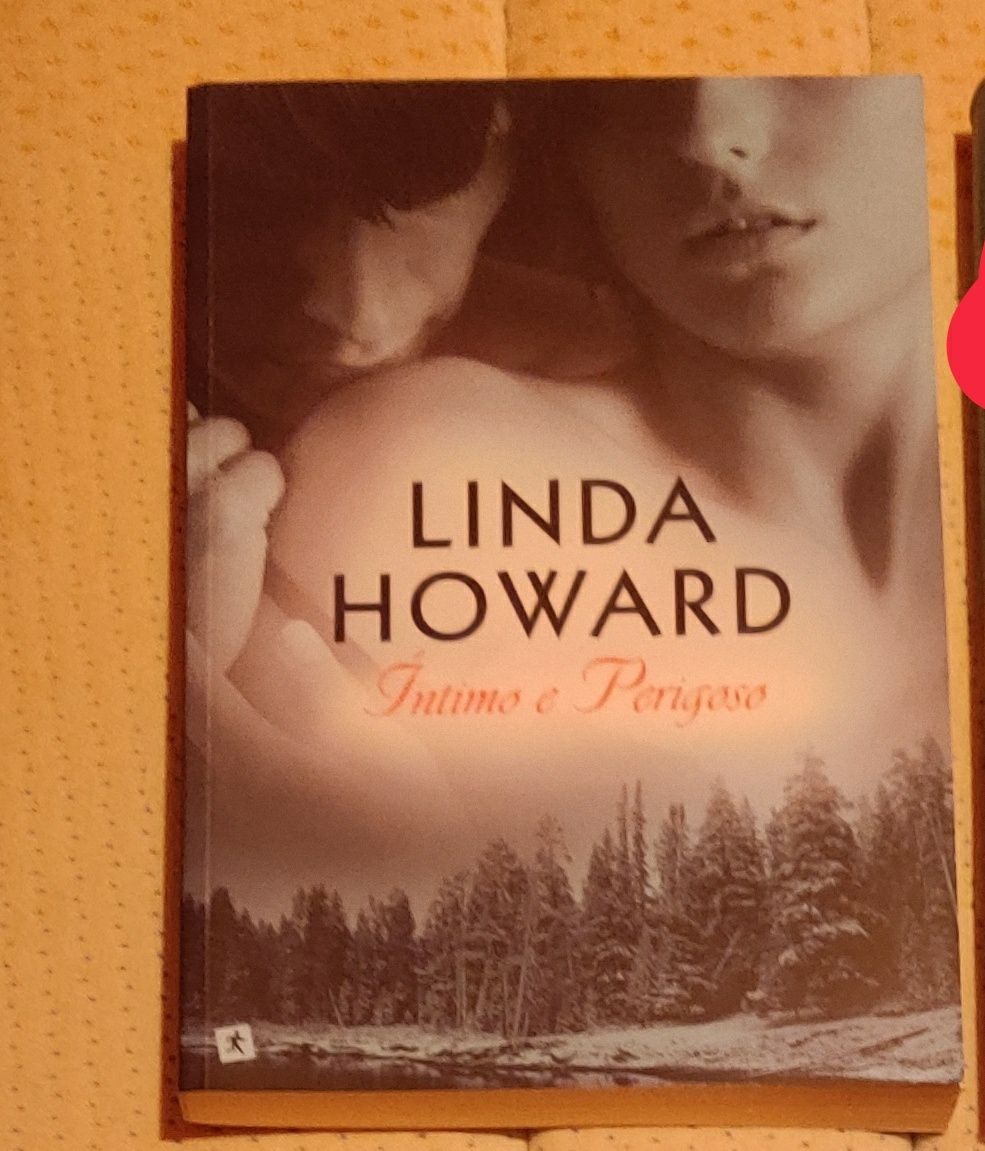 Livro Íntimo e Perigoso, de Linda Howard