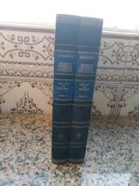 Moderno Dicionário da Língua Portuguesa - Lexicoteca - 2 volumes