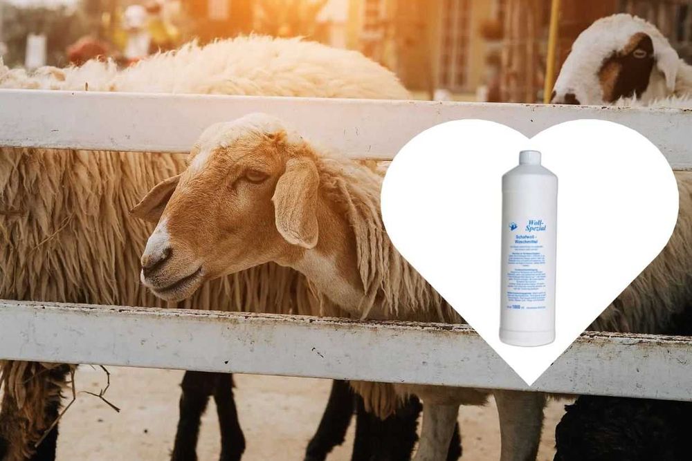 Lanolina niemiecka koncentrat do prania wełny 1L