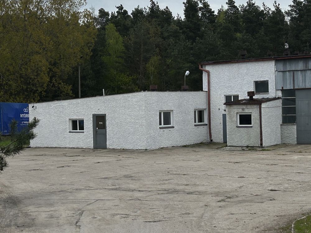 Posiadam do wynajęcia hale