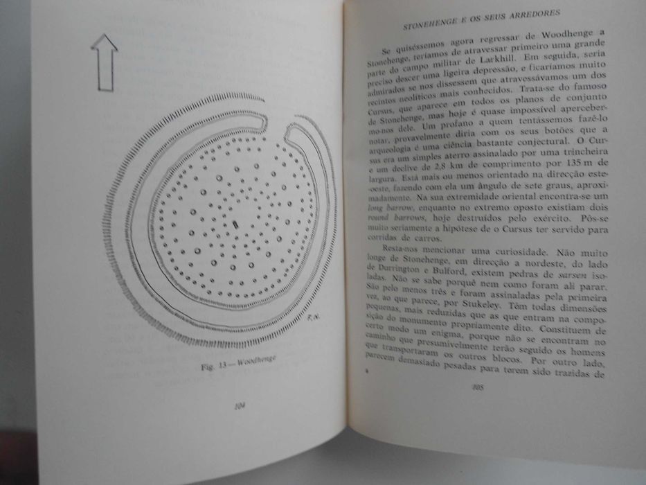 Stonehenge por Fernand Neil