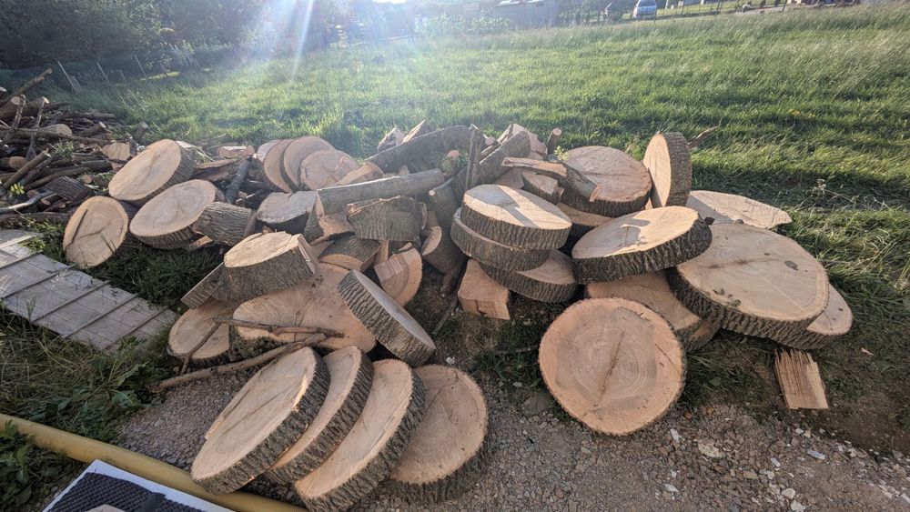 Jesion krążki fi 70cm