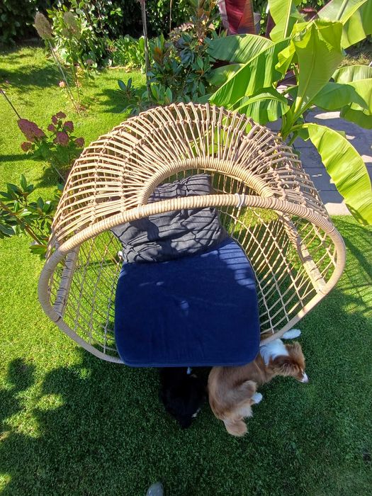 Fotel kokon ogrodowy Apolima GoodHome