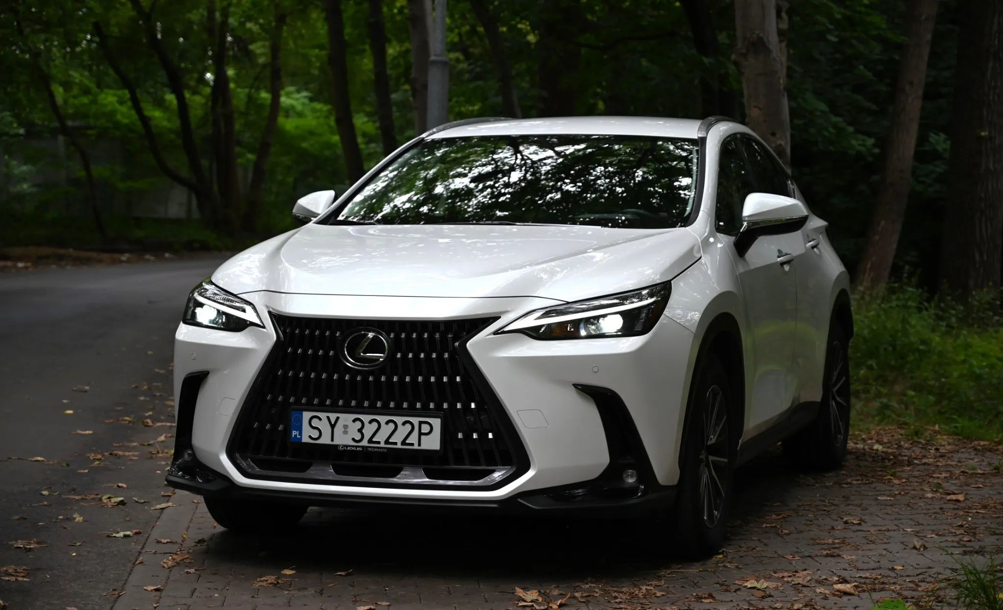 Lexus NX Krajowy bezwypadkowy Biała perła serwis ASO Asystenci