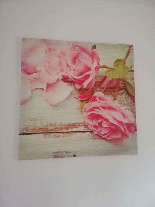 Obraz 58/58cm róże