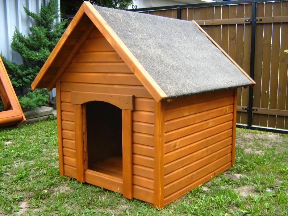 buda dla psa labrador