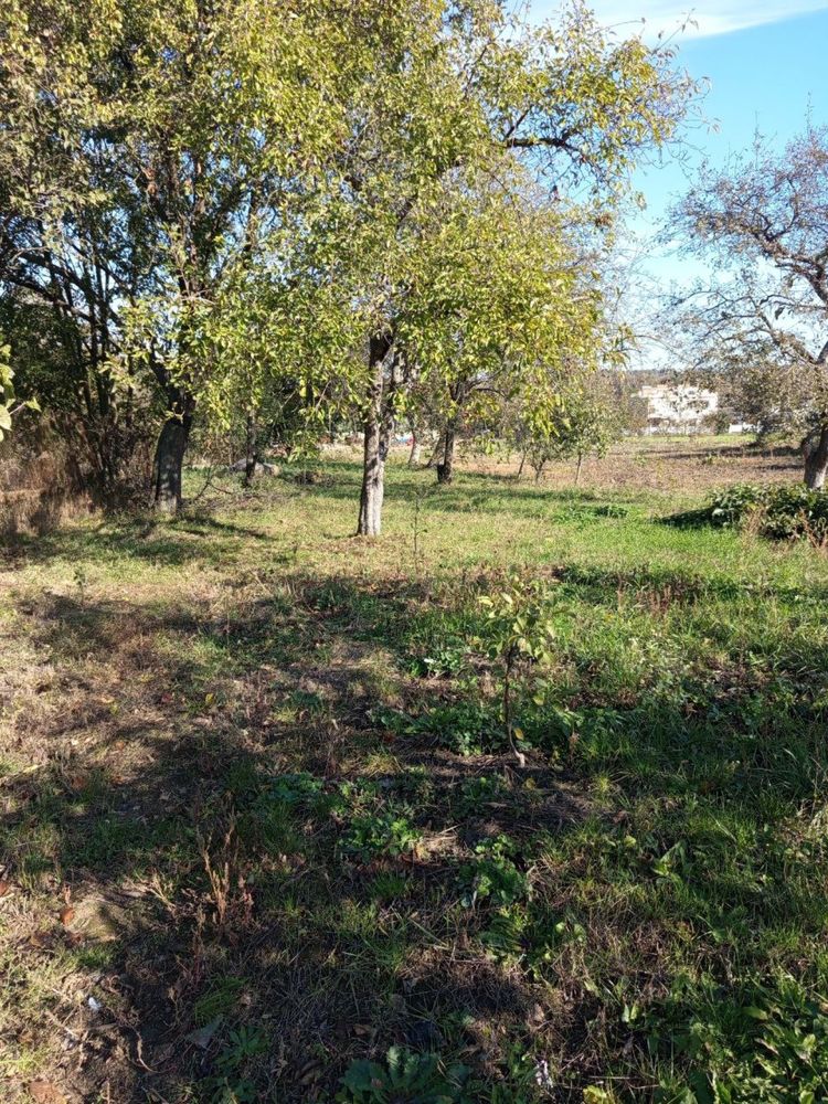 Продам земельну ділянку, с. Писарівка