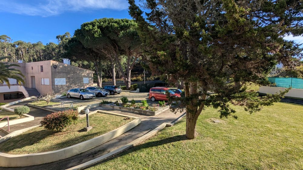 Apartamento T1 em Seixas mobilado e equipado para arrendamento