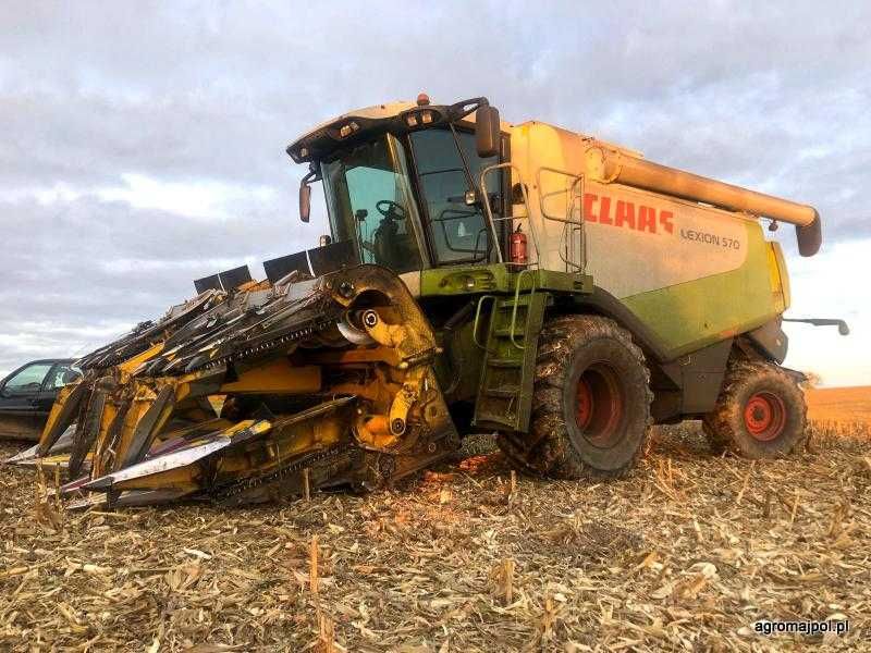 Usługi rolnicze zbiór  kukurydzy i słonecznika na ziarno