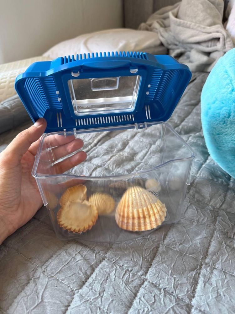 Aquario com acessorios