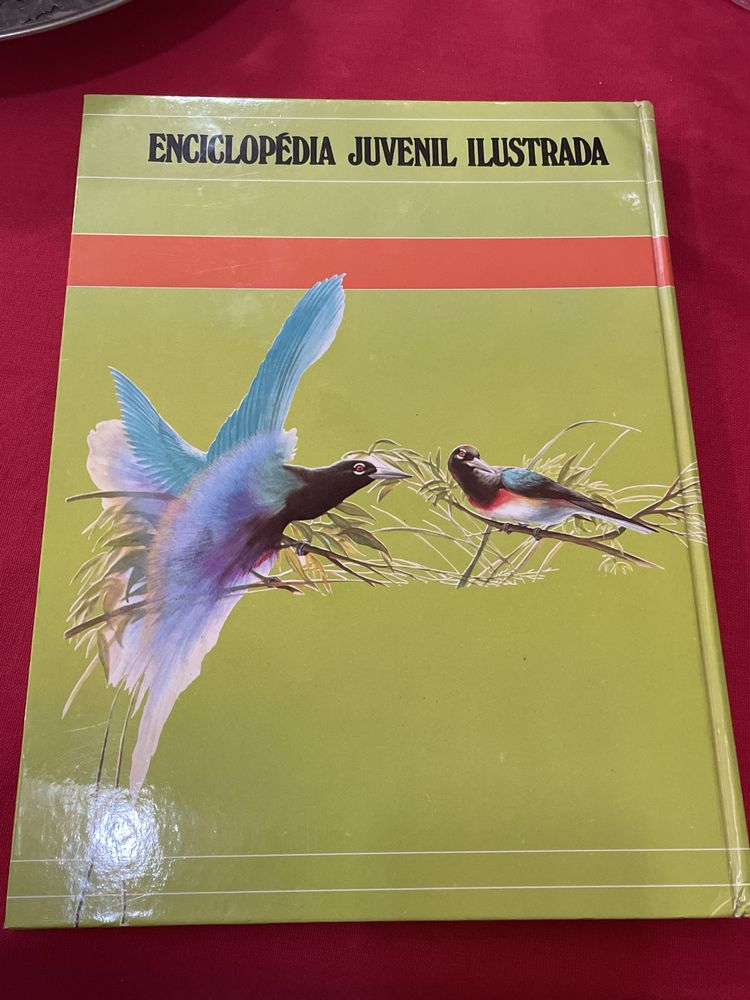 Enciclopédia juvenil ilustrada-Natureza