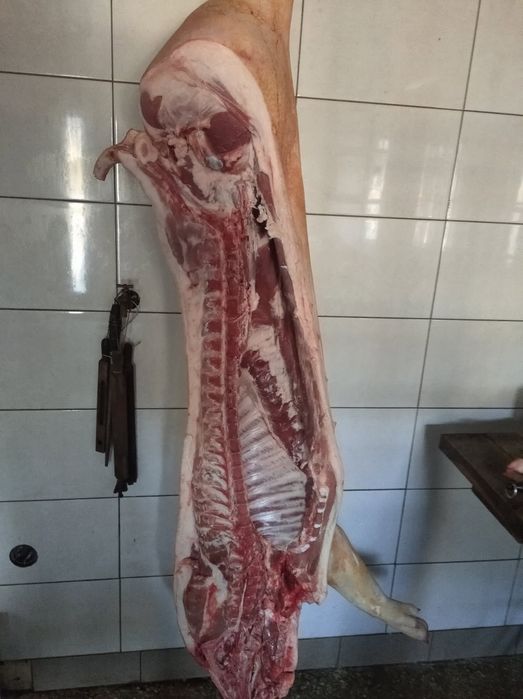 Mięso ze świń z własnego chowu(półtusze)
