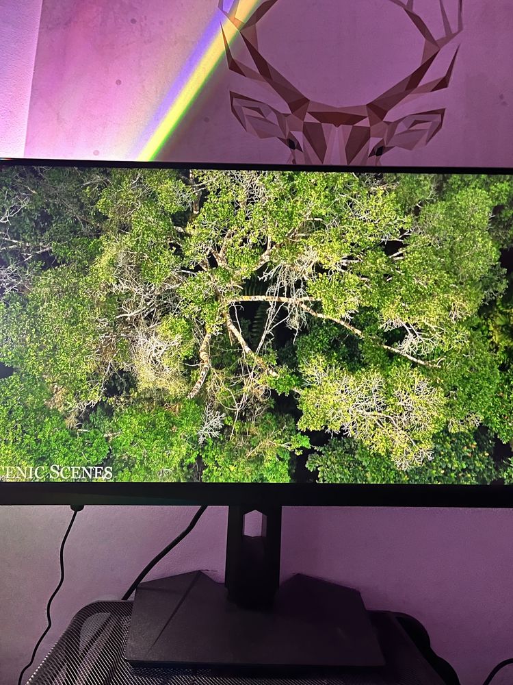 Monitor MSI Optix MAG274R2 27 cali 1920x1080p IPS 165Hz 1ms