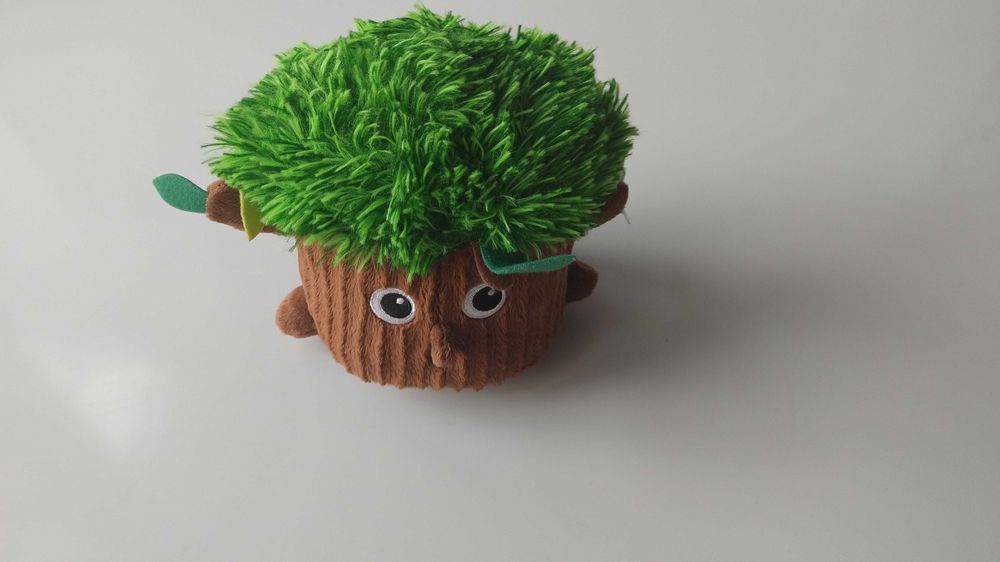 Gang fajniaków– Drzewo Dobromir