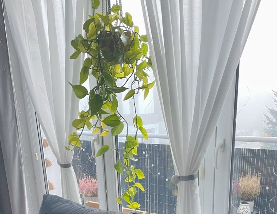 Osłona balkonowa ogrodowa na balkon płot antracytowa Naterial 1x3m