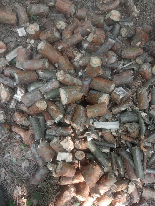 Oddam drewno opalowe