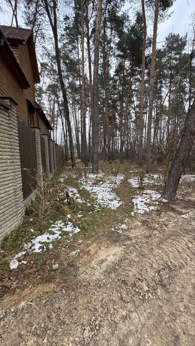 Земля. Участок 10 соток, все центральные коммуникации и газ.