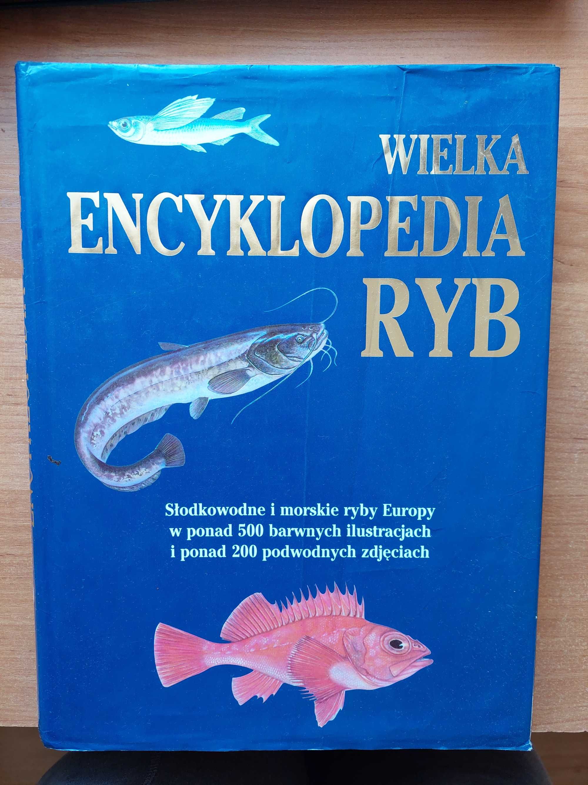 Wielka encyklopedia ryb. Słodkowodne i morskie ryby Europy - album