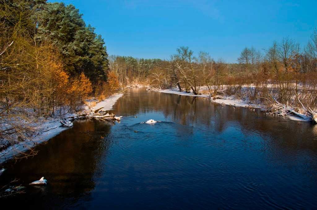 Noclegi Bydgoszcz/ Pokoje/ Willa/ ul. Sanatoryjna 52/ Bydgoszcz