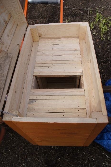 Ul Ule Dadant Dadanta Warszawski Poszerzany Pszczoły Odkłady