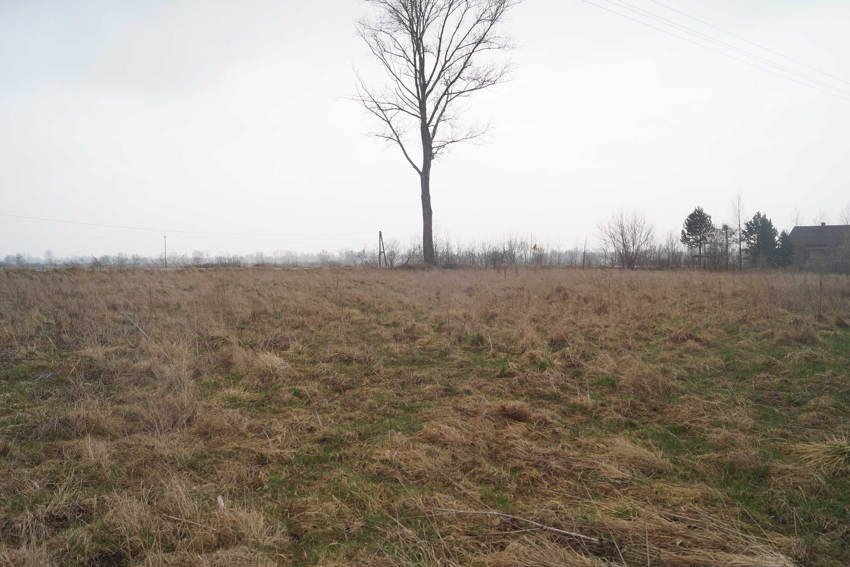 Działka 995m2 z WZ na DOM Bejsce Gmina blisko Kazimierza Wielka
