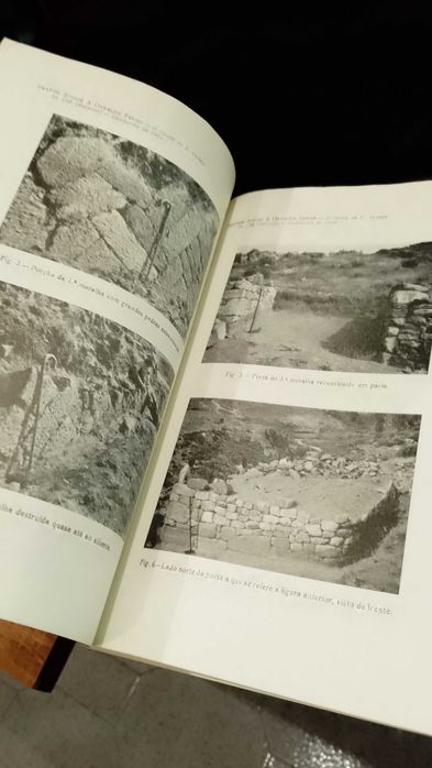 Castro de S. Vicente da Chã (Barroso) 1965