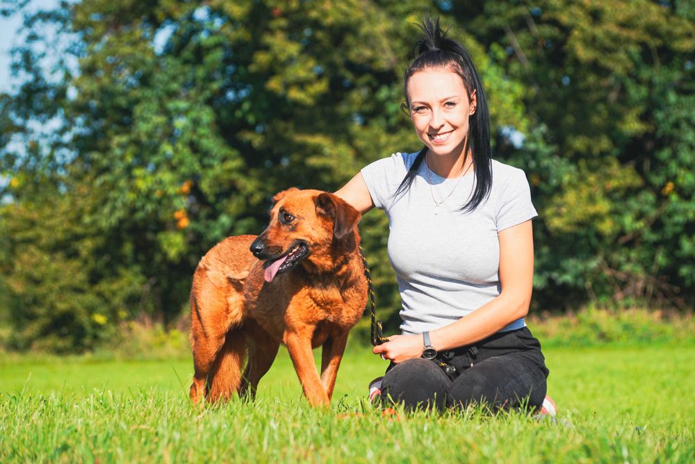 Andrea - śliczna sunia szuka domu