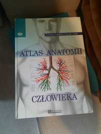 Atlas anatomi człowieka  książka