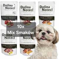 Dolina Noteci 10x + Gratis, Premium Mix Smaków 100g Saszetki dla Psa