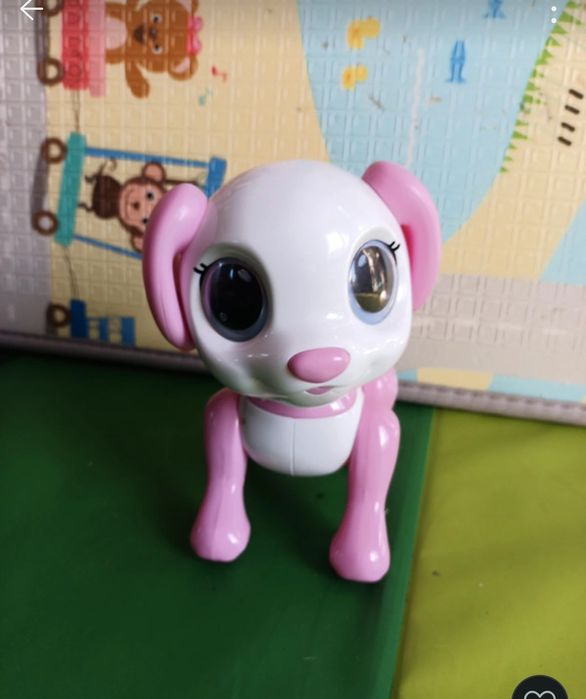 Robô verbaut, dog tou,tou gato de passeio