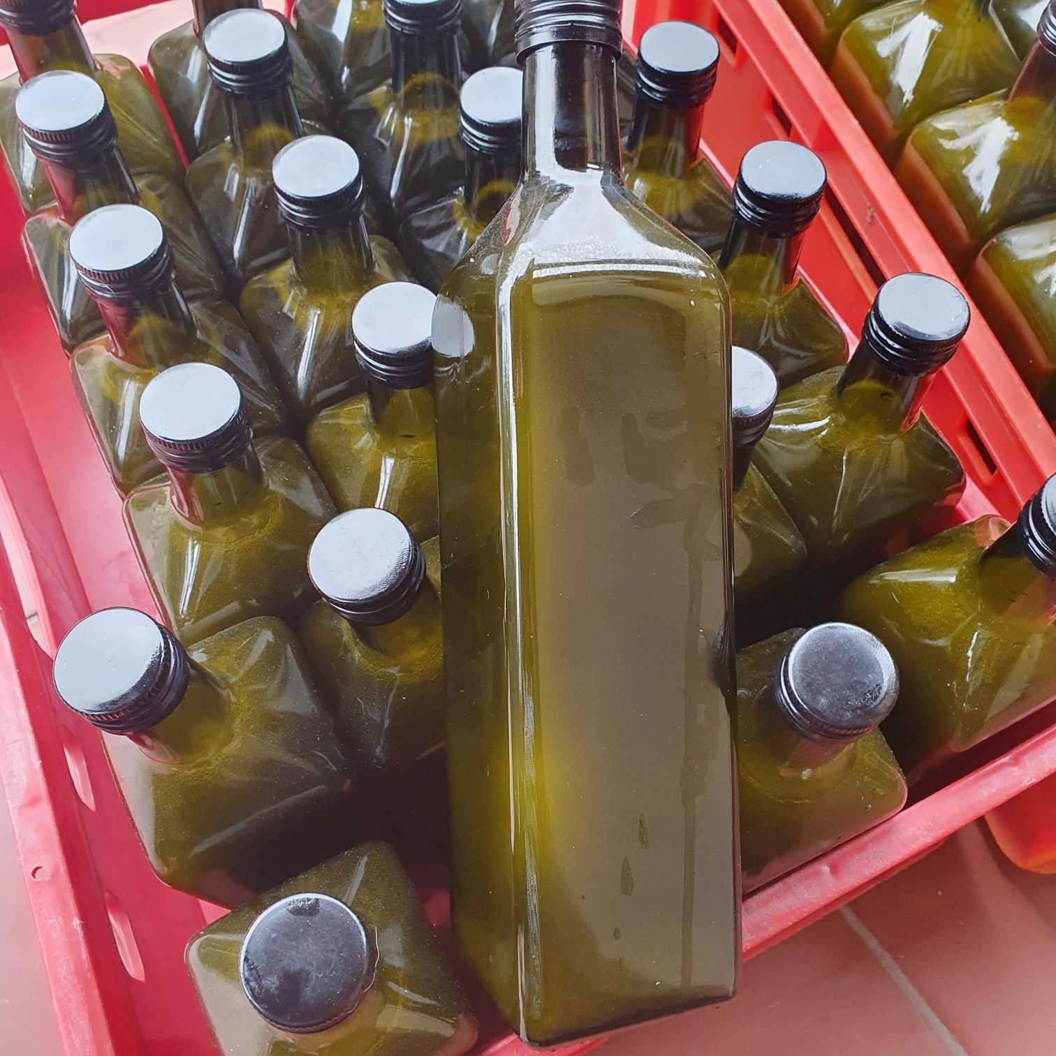 Oliwa z iliwek extra virgin Koroneika