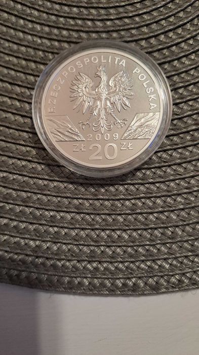 Moneta srebrna 20 zł Jaszczurka zielona