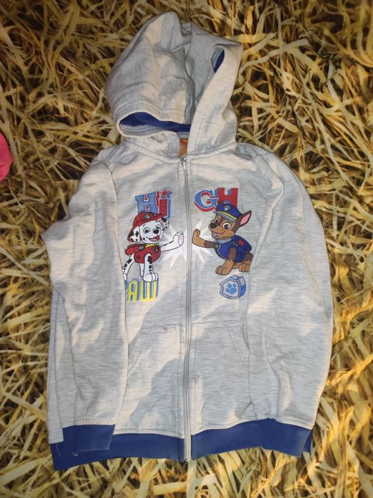Bluza dziecięca psi patrol