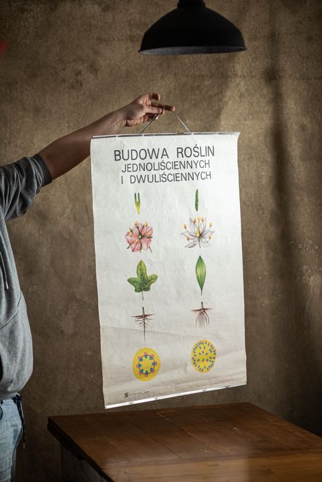 Stary plakat pomóc szkolna botaniczny retro