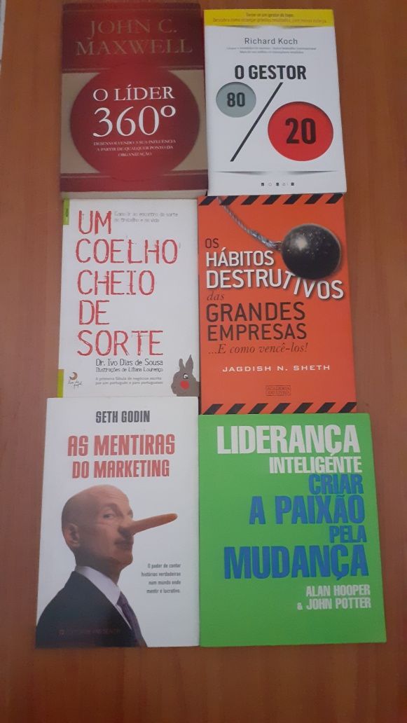 Literatura sobre economia e gestão