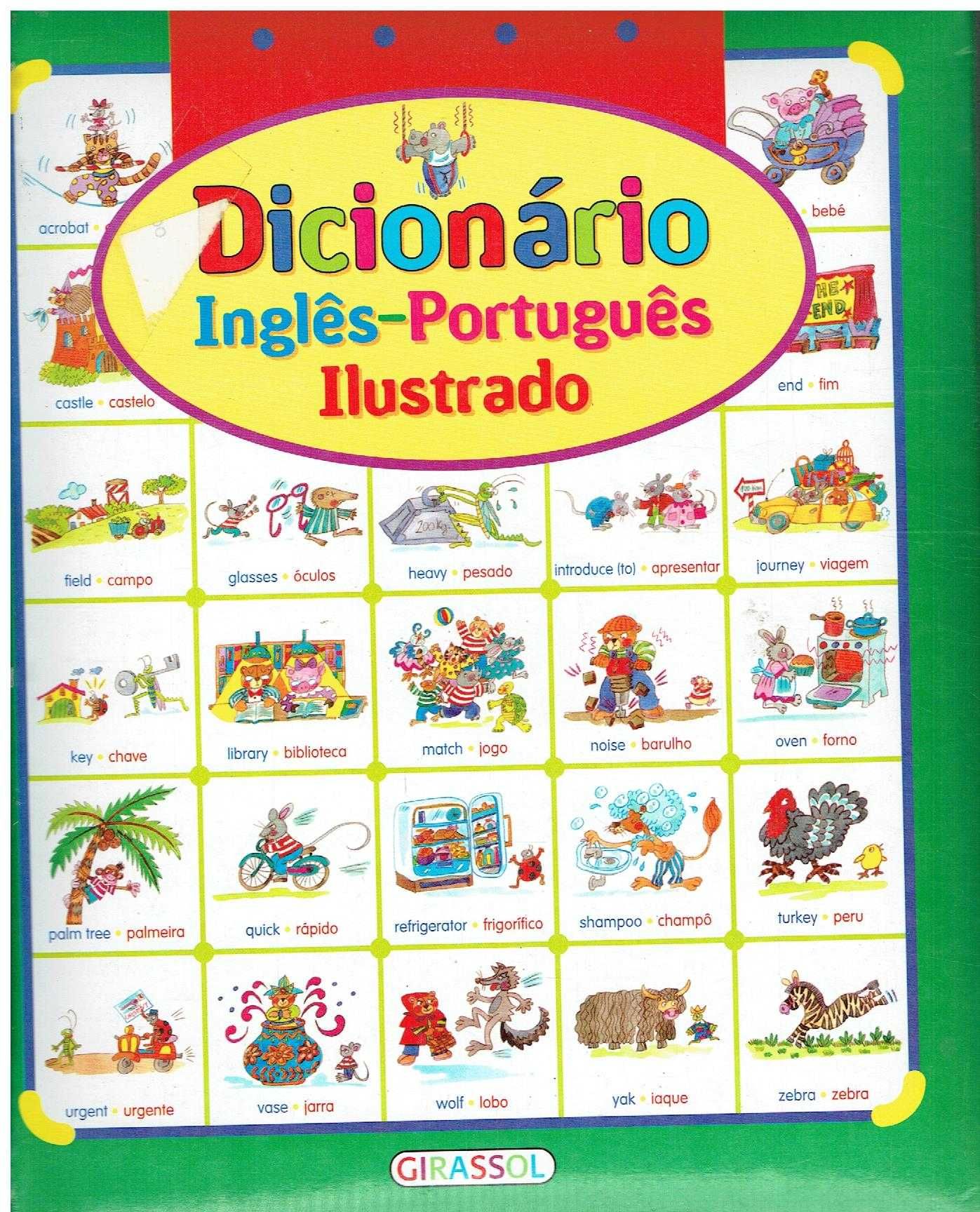 9809

Dicionário Inglês-Português Ilustrado

edição Girassol