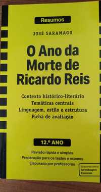 Livro de Resumo do Ano da Morte de Ricardo Reis