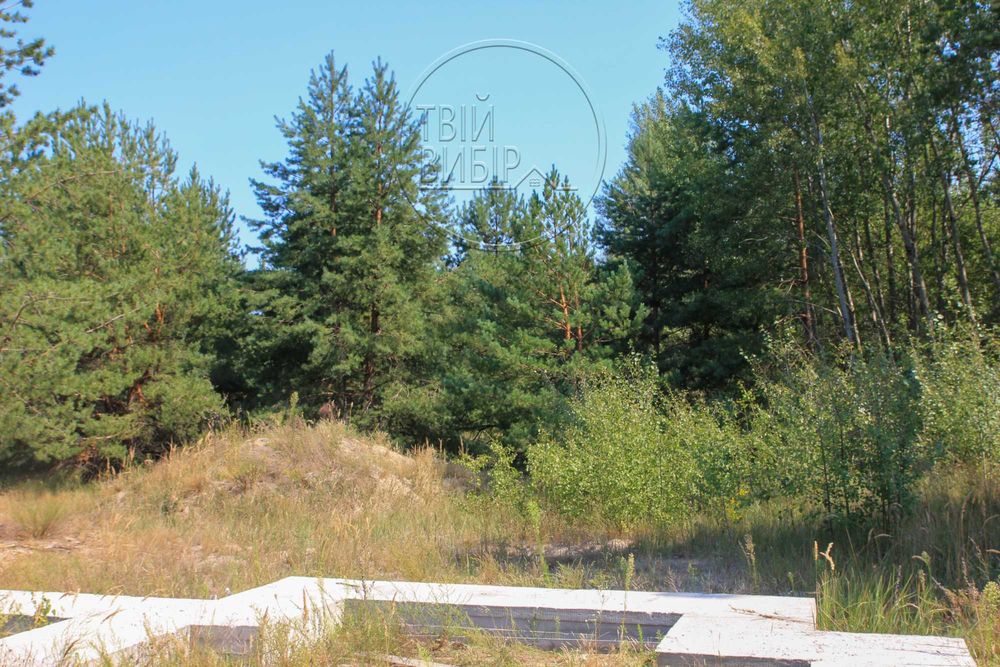 Продаж Ділянки 10 соток Гореничі Світло Ліс
