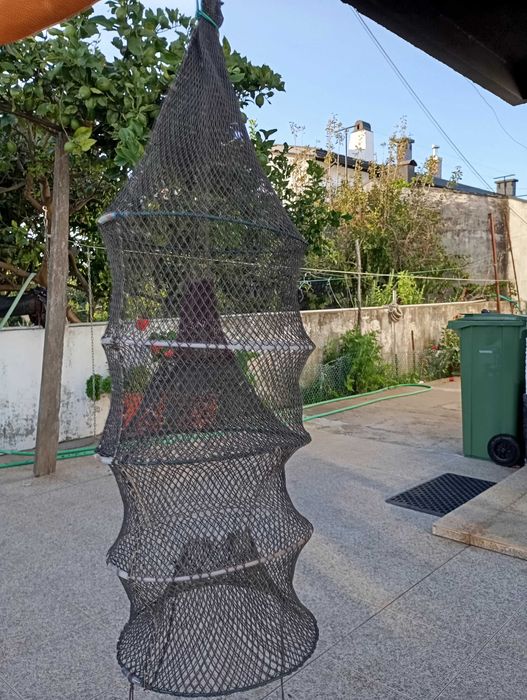 Galrichos para pesca