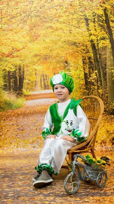 Костюм винограду, горішка, баклажана, часника, соняха, яблука, помідор