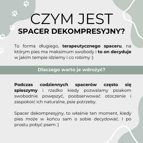 Wyprowadzę Twojego psiaka na WYJĄTKOWY spacer! (Dogsitter, Petsitter)