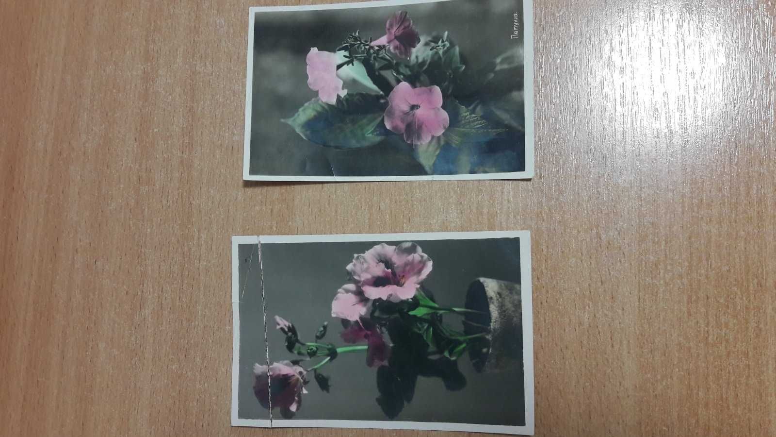 Листівки (открытки) періоду СРСР "Квіти", уживані, всі за 50,00грн.