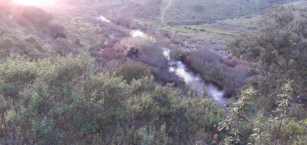 Terreno c/Ruina com Água