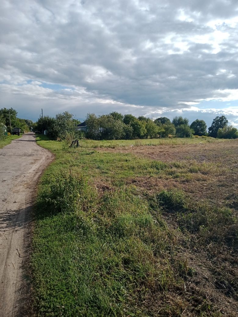Продам земельну ділянку село Часнівці Козелецького району