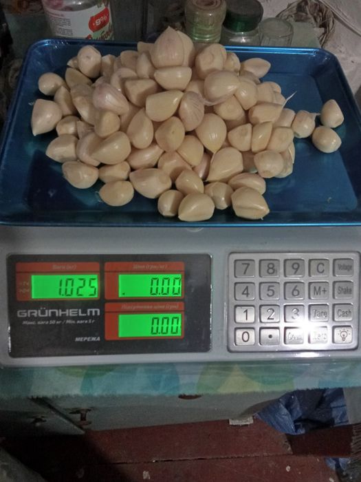 Часник чищений 100грн/кг