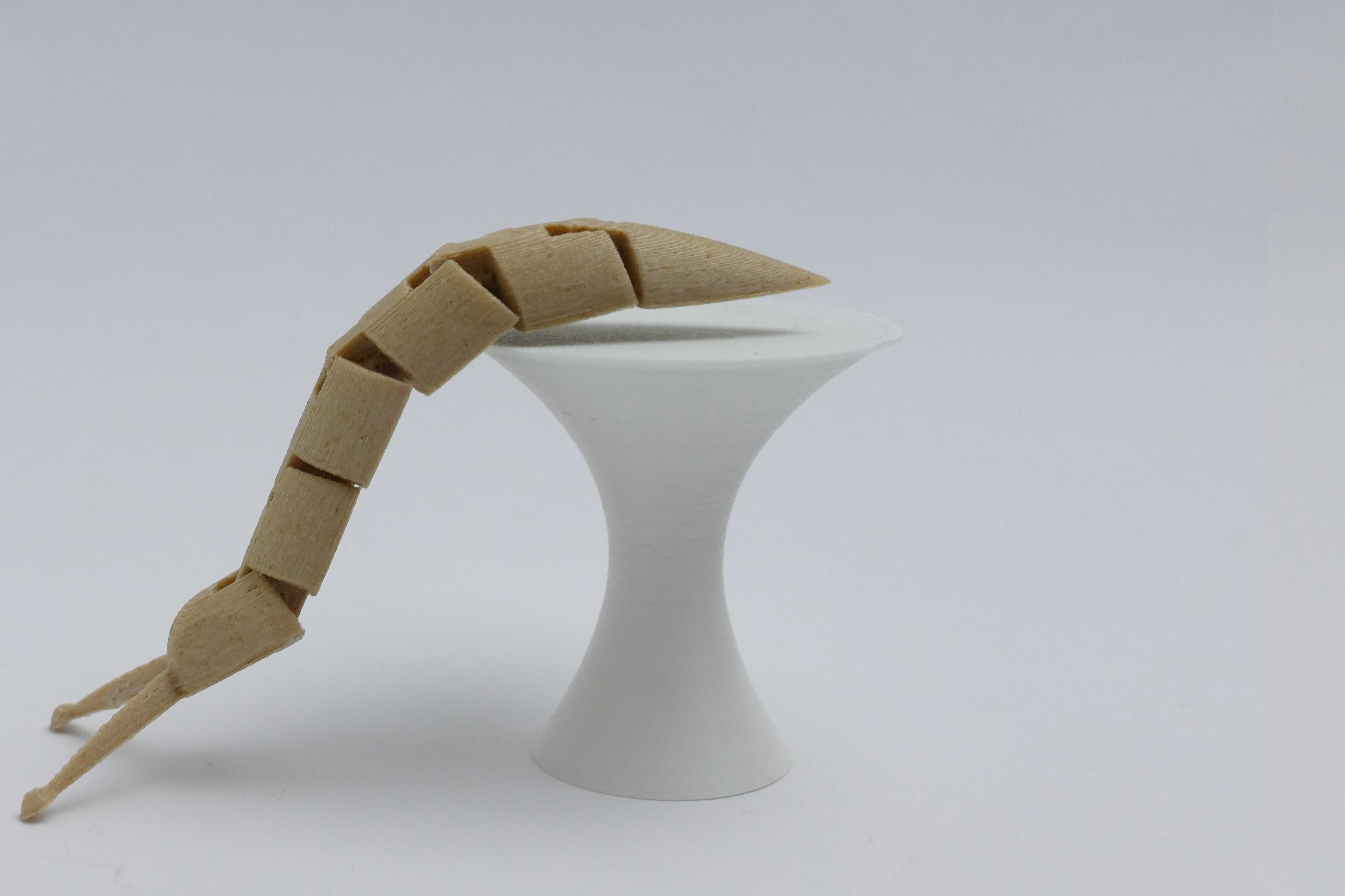 Lesma Articulada em Pasta de Madeira - Impressão 3D