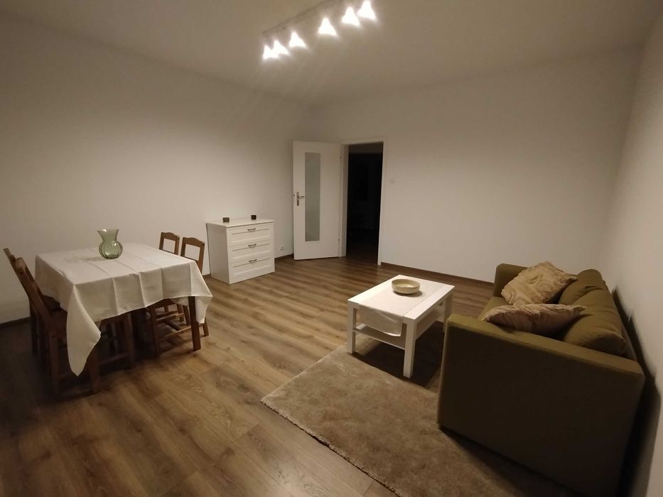 Przestronne mieszkanie w centrum do wynajęcia