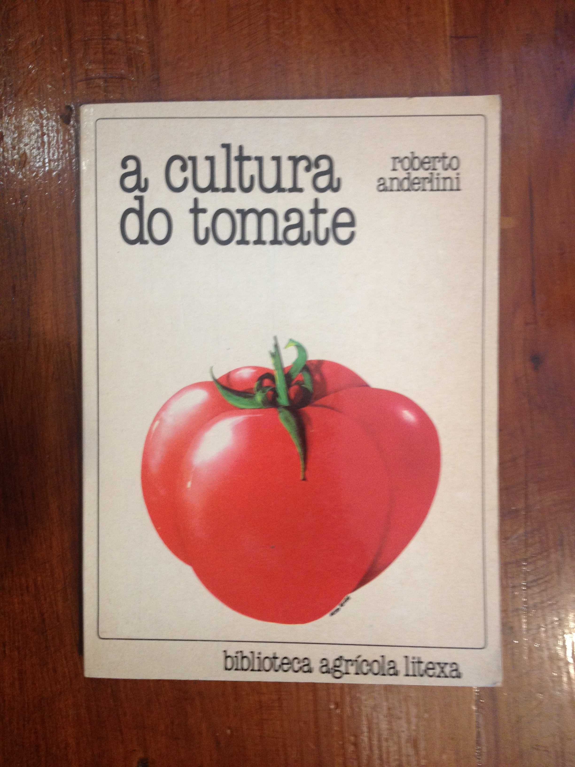 Roberto Anderlini - A cultura do tomate